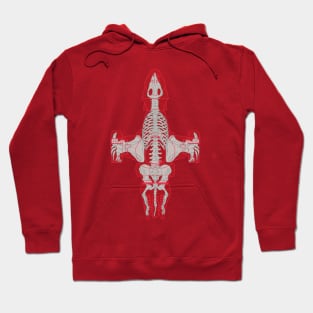 Spaceship Skeletal Survey: Serenity Hoodie